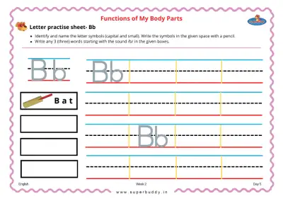 Preview of the first page of Letter Practice Sheet - Bb