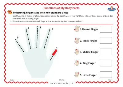 Preview of the first page of Measuring Finger Sizes with Non-Standard Units