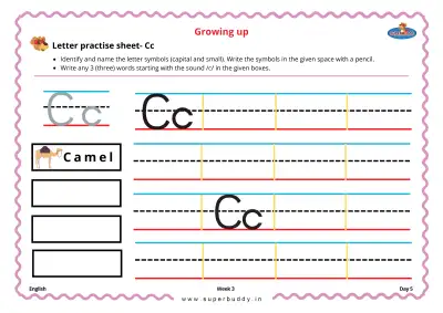 Preview of the first page of Letter Practice Sheet - Cc