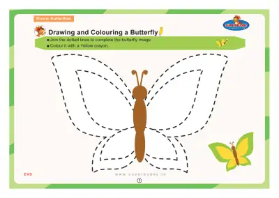 Preview of the first page of Drawing and Colouring a Butterfly