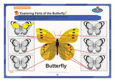 Preview of the first page of Exploring Parts of the Butterfly