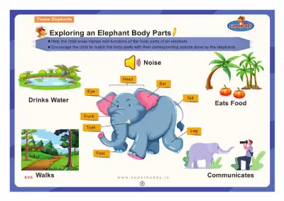 Preview of the first page of Exploring an Elephant Body Parts