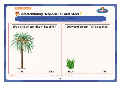 Preview of the first page of Differentiating Between Tall and Short