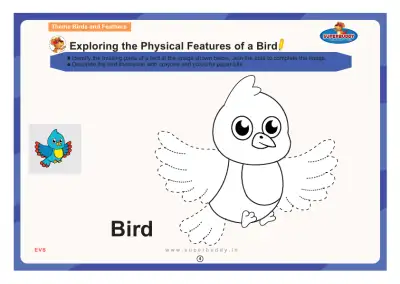 Preview of the first page of Exploring the Physical Features of a Bird