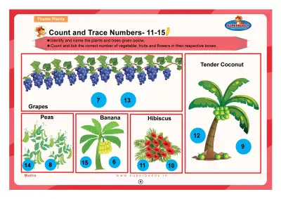 Preview of the first page of Count and Trace Numbers- 11-15