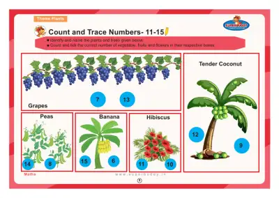 Preview of the first page of Count and Trace Numbers- 11-15