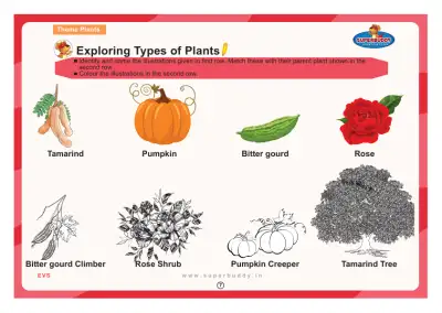 Preview of the first page of Exploring Types of Plants