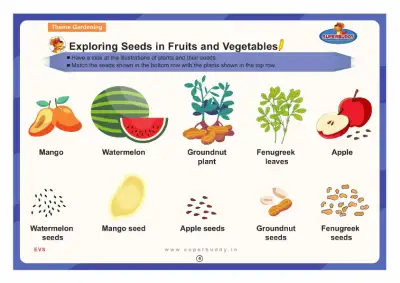 Preview of the first page of Exploring Seeds in Fruits and Vegetables