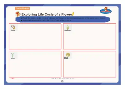 Preview of the first page of Exploring Life Cycle of a Flower