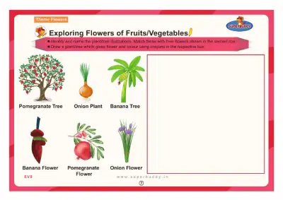 Preview of the first page of Exploring Flowers of Fruits/Vegetables