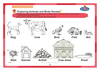 Preview of the first page of Exploring Animals and Birds Houses