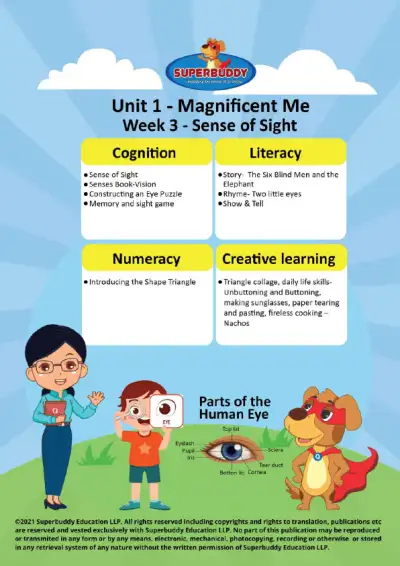 Preview of the first page of Pre-Nursery · Unit 1 / Magnificent Me · Week 3 — Sense of Sight