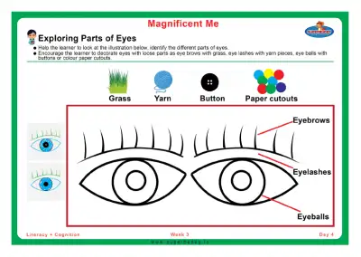 Preview of the first page of Exploring Parts of Eyes