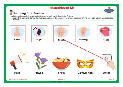 Preview of the first page of Revising Five Senses
