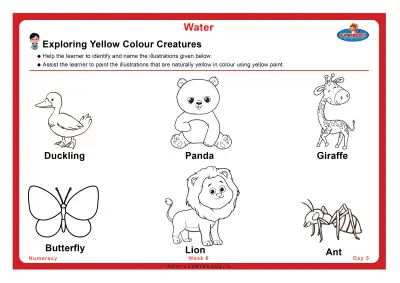 Preview of the first page of Exploring Yellow Colour Creatures