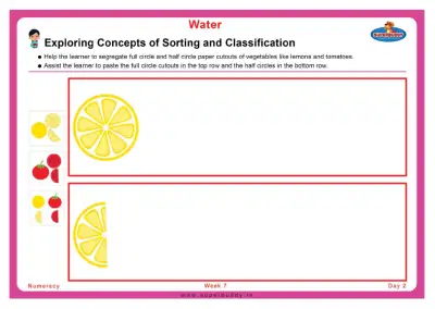 Preview of the first page of Exploring Concepts of Sorting and Classification