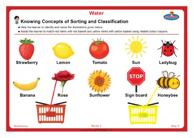 Preview of the first page of Knowing Concepts of Sorting and Classification