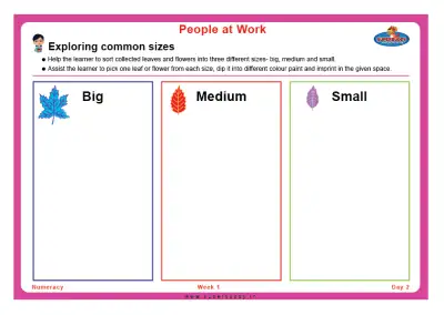 Preview of the first page of Exploring common sizes