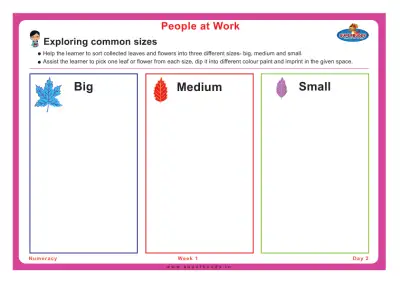 Preview of the first page of Exploring common sizes