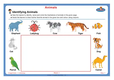 Preview of the first page of Identifying Animals