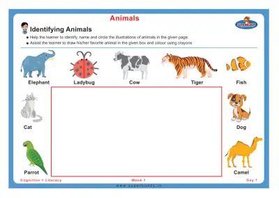 Preview of the first page of Identifying Animals