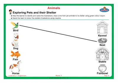 Preview of the first page of Exploring Pets and their Shelter