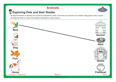 Preview of the first page of Exploring Pets and their Shelter