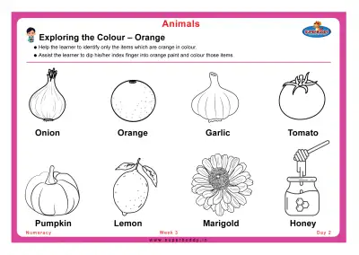 Preview of the first page of Exploring the Colour – Orange