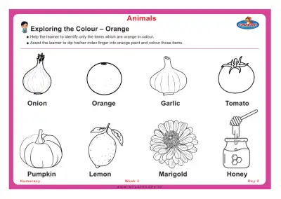 Preview of the first page of Exploring the Colour – Orange